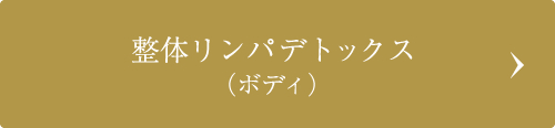 整体リンパデトックス（ボディ）